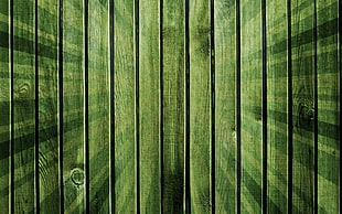 green slatted wood
